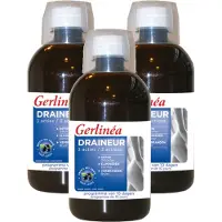 Gerlinéa Draineur 3 Actions 500 ml Solution(S)