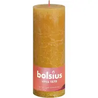 Bolsius Bougie ronde 'Rustiko Shine (1 pcs)