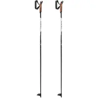 LEKI Xta Base Poles Argenté 125 cm
