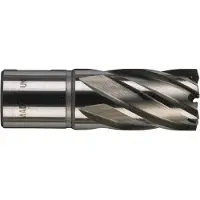 Milwaukee 4932343276 Trépan HSS 14 x 25 mm - Ø 20mm