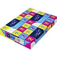 Color Copy Papier copieur blanc CLC SRA3 250g Color Copy 320x450mm paquet de 125 pièces (SRA3)