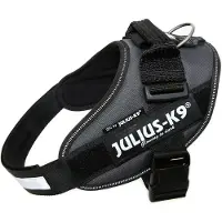 Julius-K9 Idc Power Dog Harness Gris M-0