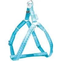 PADU Harnais chien MAC CUIR turquoise 15mm Zolux