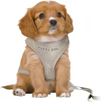 Trixie Harnais pour chien Junior gris clair M/L