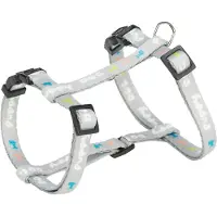 Trixie Harnais chiot Junior avec laisse, M-L : 27-45cm/10mm, 2m, gris clair (L, M, Chien, Général)