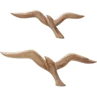 Boltze Seagull