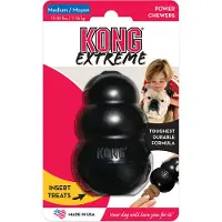 Kong Taille M pour chien