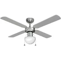 EDM Caribe 50w Ceiling Fan 102 Cm Argenté One Size / EU Plug 220V
