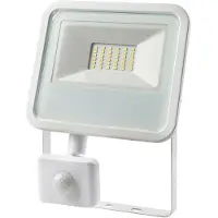 EDM 30w 2100 Lumens 6400k Led Floodlight Blanc