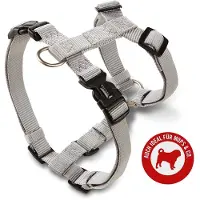 Fressnapf Wolters : Gamme de gamelles professionnelles pour chiens de petite taille, comme les bouledogues français, en argent