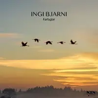 OUTHERE Ingi Bjarni Skulason - Farfuglar [Compact Discs]