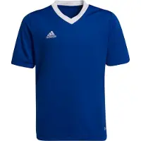 Adidas T-Shirt fonctionnel 'Entrada 22' bleu roi / blanc