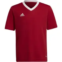 Adidas T-Shirt fonctionnel 'Entrada 22' rouge feu / blanc