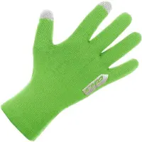 Q36.5 Anfibio Gloves Vert S Homme