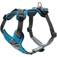 Hunter Vaisselle Divo (L, XL, Chien, Général)