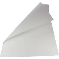 Folia Carton photo, (l)500 x (h)700 mm, 300 g/qm, blanc (300 g/m², 10x)