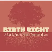 Cd Birthright: A Black Roots Music Compendium