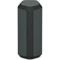 Sony SRS-XE300 Noir