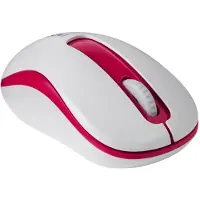 Rapoo M10 PLUS - Souris - optique - 3 boutons - sans fil - 2.4 GHz