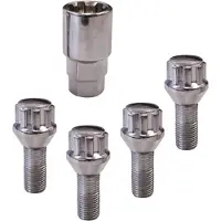 Carpoint 0520504 Anti diefstal wielbouten