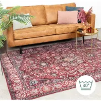 FRAAI Tapis vintage | Imagine Medallion Rouge | 230x330cm | Rouge | Rectangulaire | Tapis