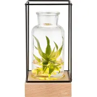 GADGY Vase avec éclairage LED - Vase lampe - Vase en verre avec lampe - Cadeau de fête des mères - Hydroponique - Fonctionne avec des piles - Lampe de table - Ø11cm