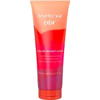 Inebrya Color Perfect Mask masque protection de couleur 250 ml