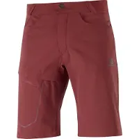 Salomon Wayfarer Shorts Rouge 50 Homme