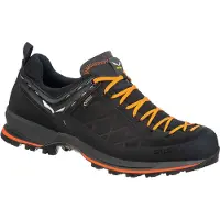 Salewa Chaussures Buty Męskie MS Mtn Trainer 2 Gtx, 613560933