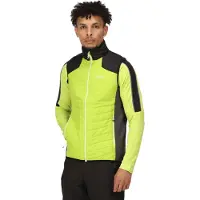Regatta Halton Vi Vest Vert L Homme