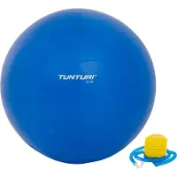 Tunturi Gymball 65 cm Blue