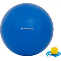 Tunturi Gymball 75 cm Blue