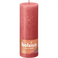 Bolsius Hirschfeld (1 pcs)