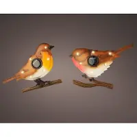 Lumineo Oiseau Soleil Décoration Solaire Lumineuse De Jardin -