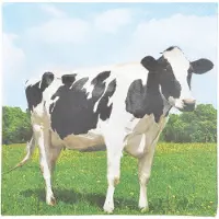Esschert Design Serviette en papier de soie avec motifs (Lot de 20) Vache