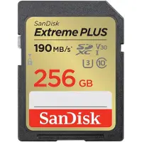 SanDisk SDSDXW2-256G-GNCIN, 64 Go, SDXC, classe 10, 190 Mo/s, 130 Mo/s, classe 3 (U3)