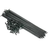 Saltbmx Spokes 50 Units Argenté 190 mm