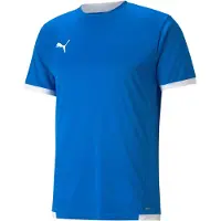 Puma Teamliga Maillot Hommes Manches Courtes - Royal / Blanc