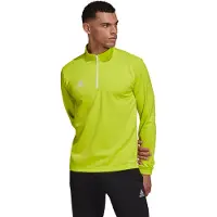 Adidas Entrada 22 Training Sweatshirt Vert XL / Regular Homme