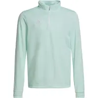 Adidas Entrada 22 Training Sweatshirt Vert 11-12 Years Enfants