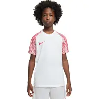 Nike T-Shirt fonctionnel 'Academy' rouge / blanc