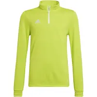 Adidas Entrada 22 Training Sweatshirt Vert 11-12 Years Enfants