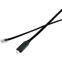 Renkforce Câble adaptateur USB-C, RJ45 [1x USB-C mâle - 1x RJ45 mâle 8p8c] 3.00 m noir