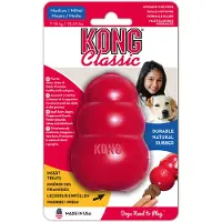 Kong Taille M pour chien