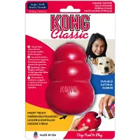 Kong Taille L pour chien