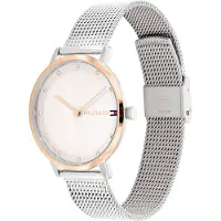 Tommy Hilfiger Montre à affichage analogique or / argent / blanc