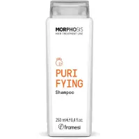 Framesi Morphosis Purifying Shampoo 250ml - shampooing antipelliculaire