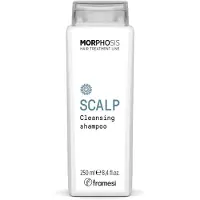 Framesi Scalp Cleansing Shampoo 250ml - shampooing purifiant