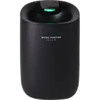JAP Déshumidificateur silencieux Enivio D3 - Purificateur d'air pour la maison - Chambre à coucher, salle de bain et sous-sol - noir