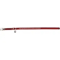 Beeztees Bz Collier Chat Swarovski Rouge (Chat)